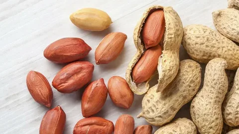 تصویر 3 از قیمت خرید بادام زمینی تازه عمده به صرفه و ارزان